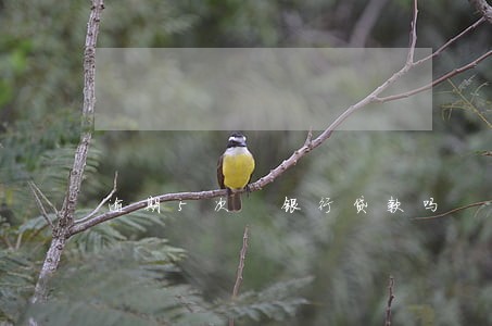 逾期5次 银行贷款吗 逾期5次 银行贷款吗